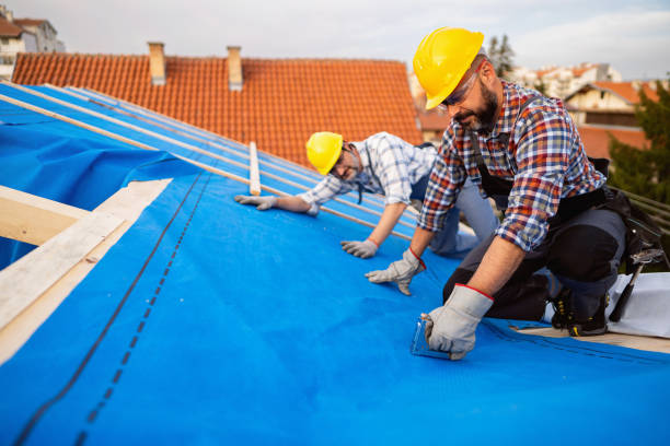 Best Roof Insulation Installation  in Clendenin, WV